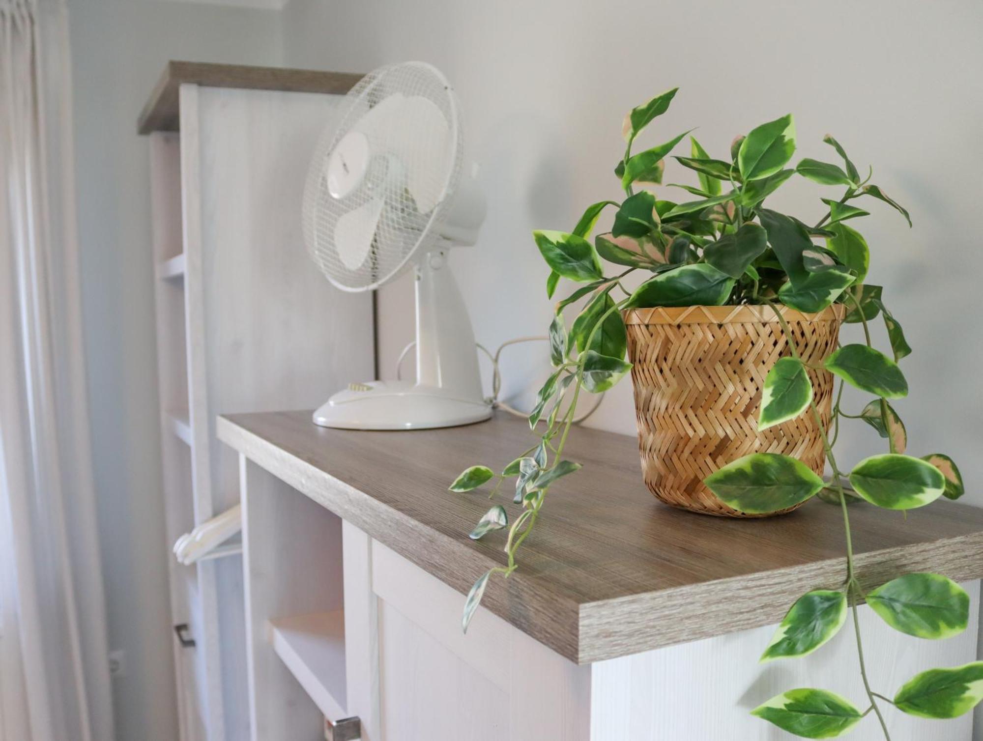 Apartament Ostfrieslandliebe *