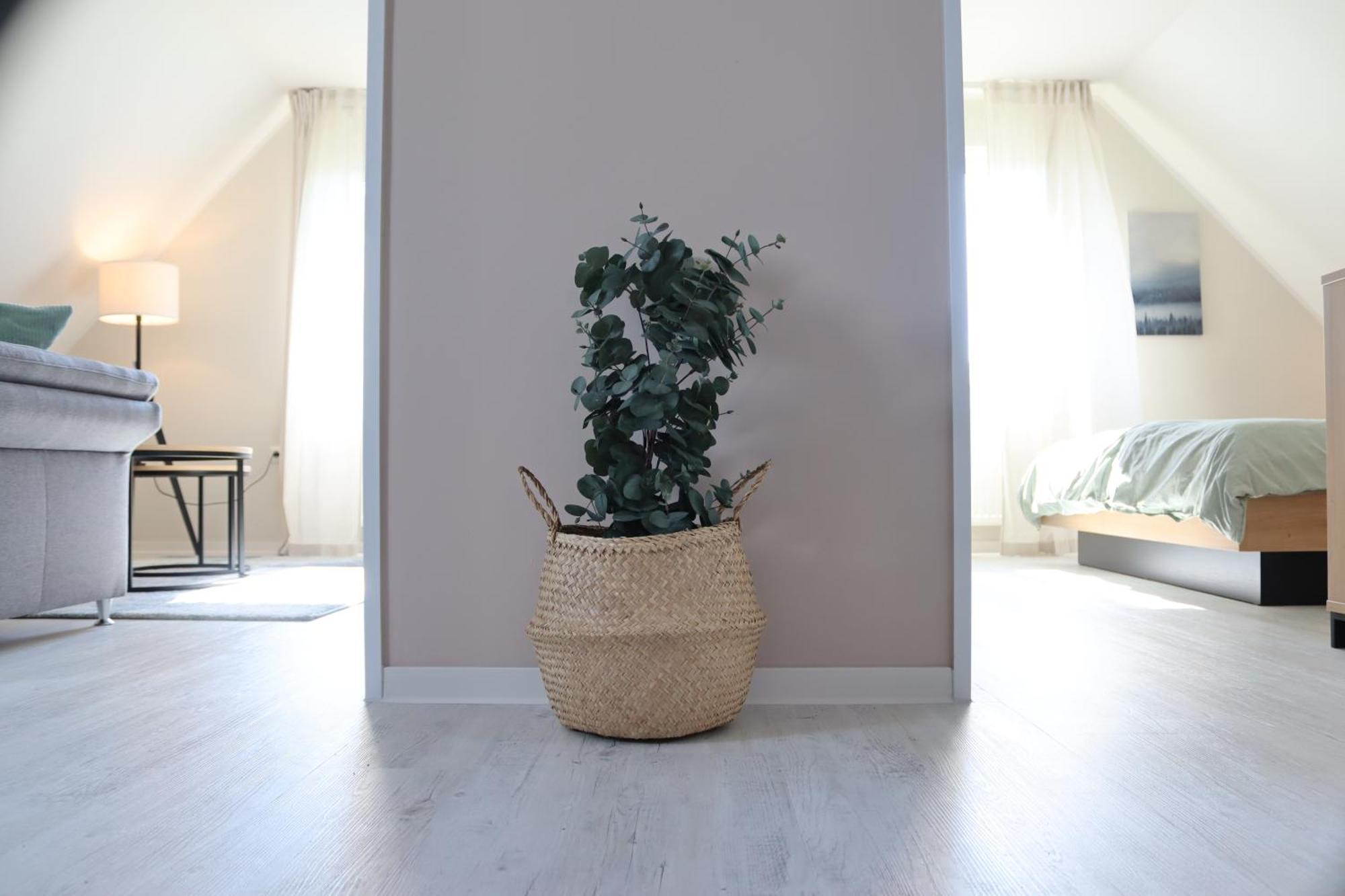 Apartament Ostfrieslandliebe