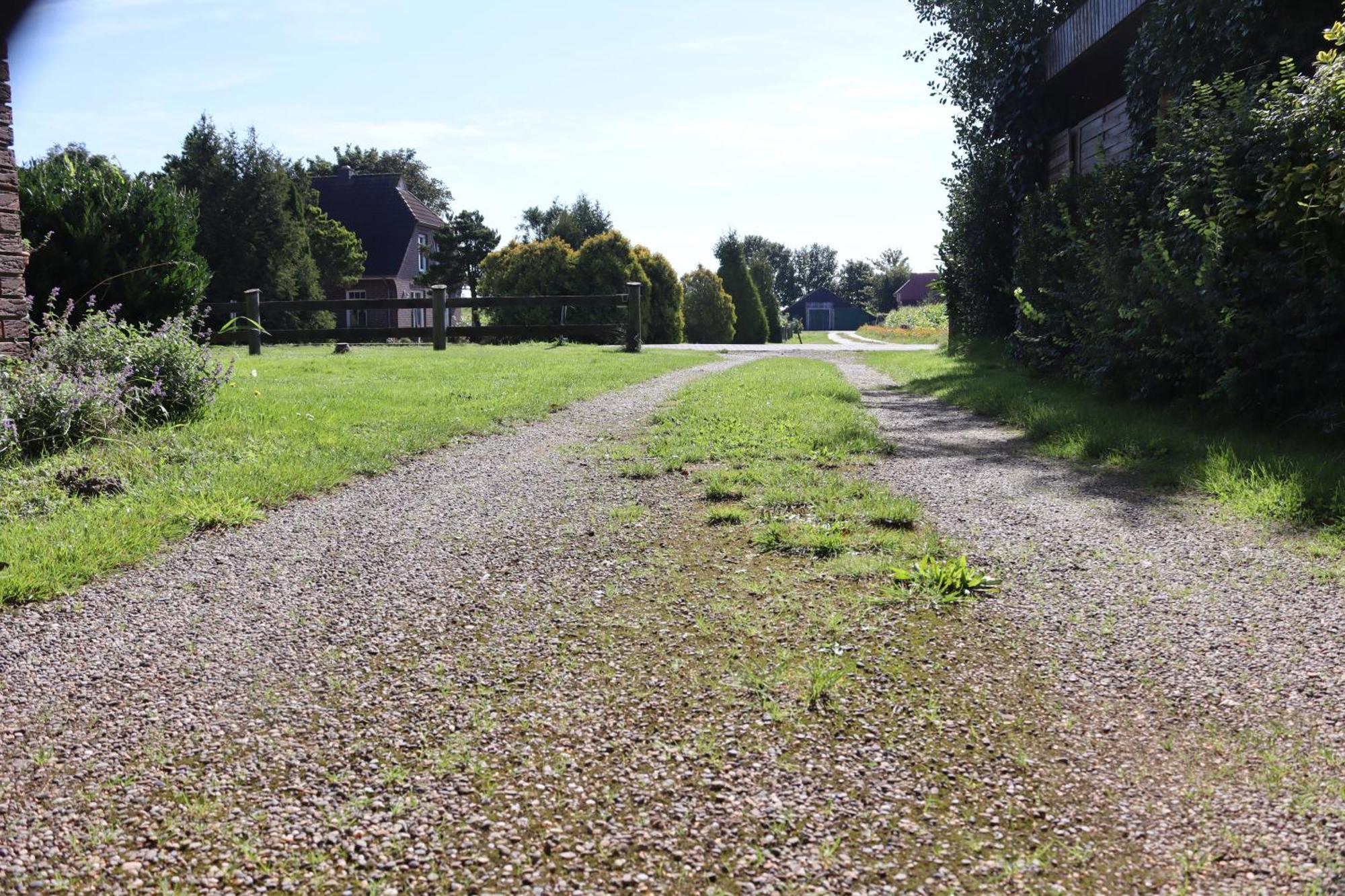 Apartment Ostfrieslandliebe
